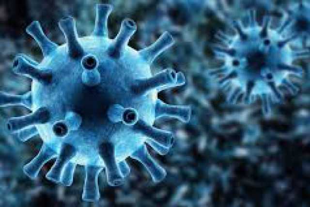 Coronavirus, in Puglia un solo nuovo caso: positivo lo 0,08% dei tamponi